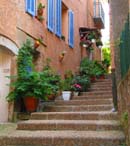 Flowers in the village